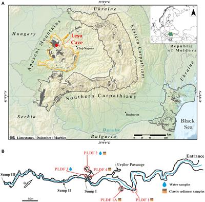 Diversity, distribution and organic substrates preferences of microbial communities of a low anthropic activity cave in North-Western Romania